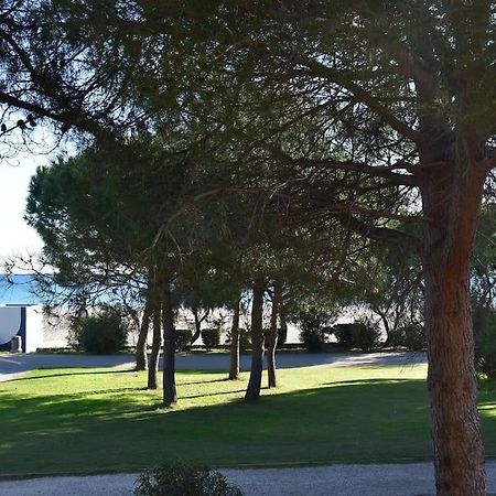 Le Byblos 9 - Vue Mer - Climatisation Plage dʼArgelès Exterior foto